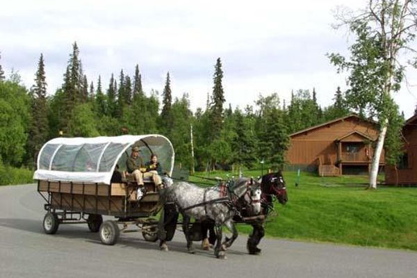 Mt. McKinley Princess Wilderness Lodge (Trapper Creek)